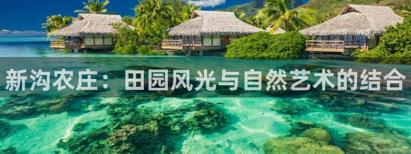 必一体育app下载最新版本