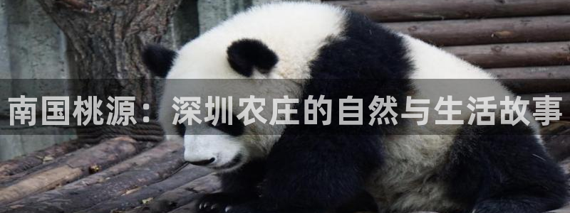 必一运动体育app