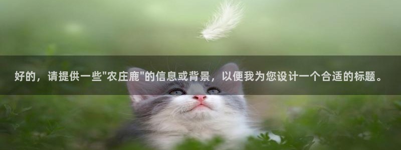 必一体育APP下载安装