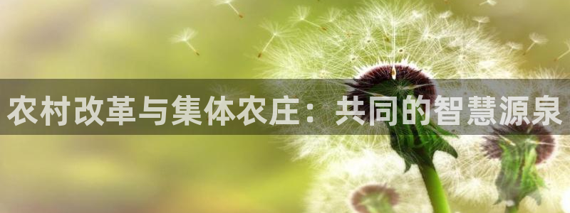 必一体育网页登陆
