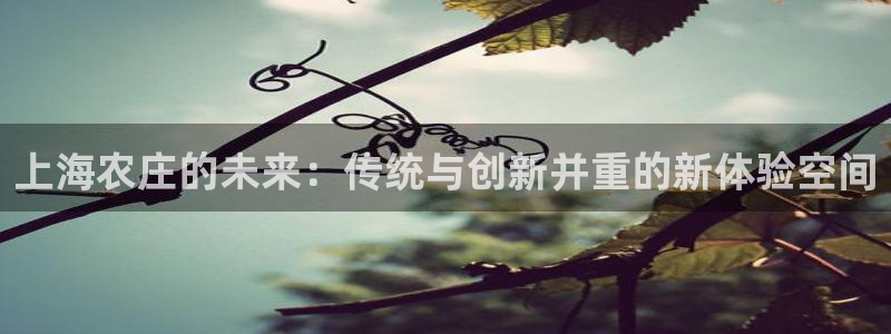 必一体育app下载最新版本