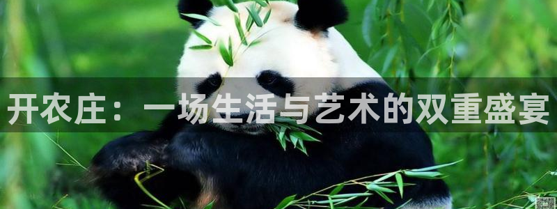 必一体育sport下载