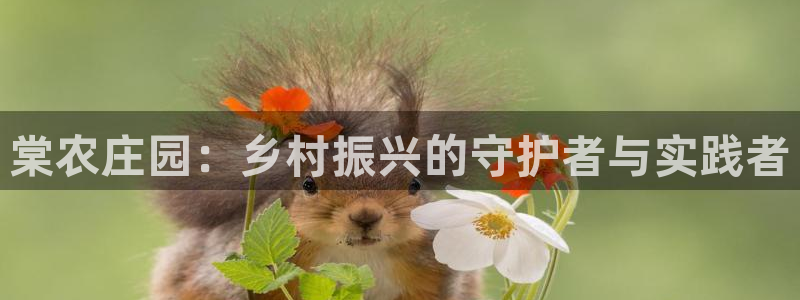 必一体育app下载安装