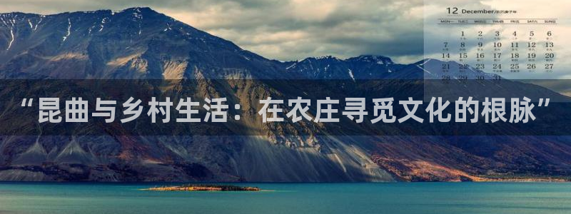 必一体育验证码