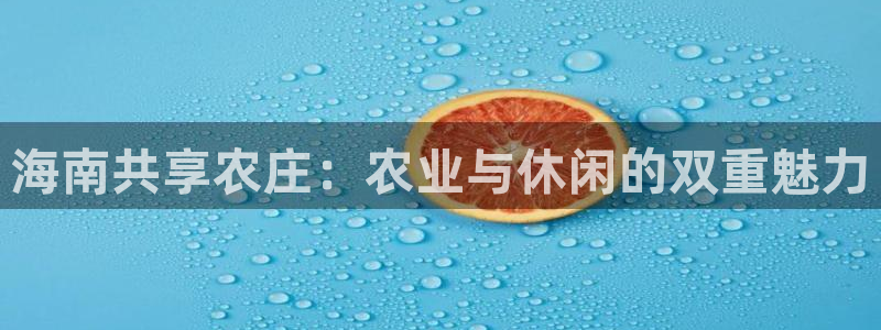 必一体育sport官方网站