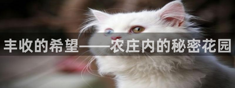 必一体育登录APP下载