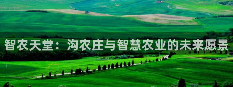 必一体育官网网站