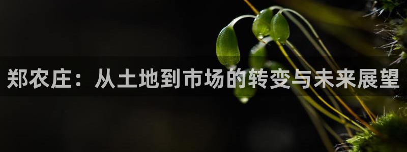 必一体育运动平台官网