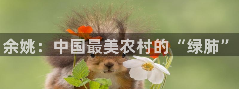 必一体育官方app下载