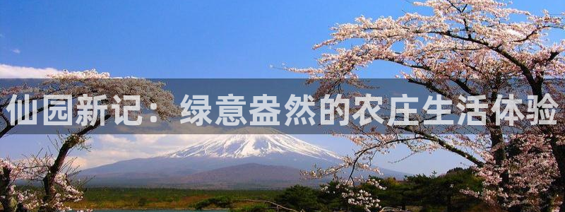 必一运动B-Sport官方网站入口