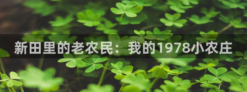 必一运动sport网页版