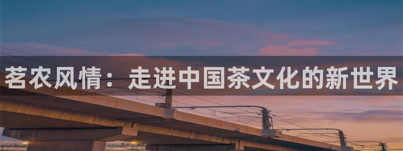 必一运动体育app