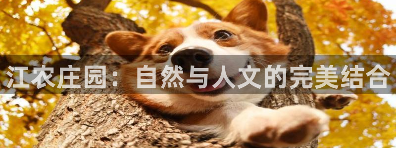 必一体育app官方