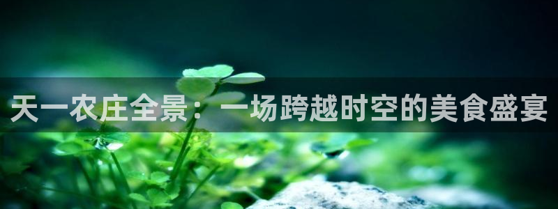 必一体育皮尔斯