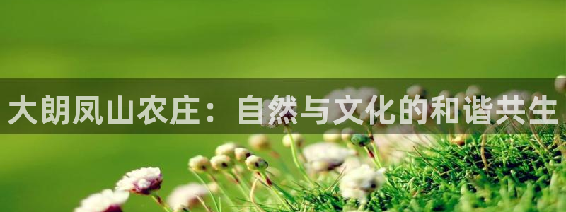 必一运动体育官网下载