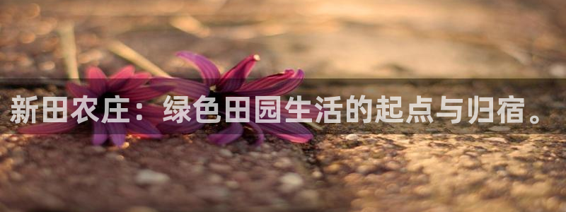 必一运动体育官网