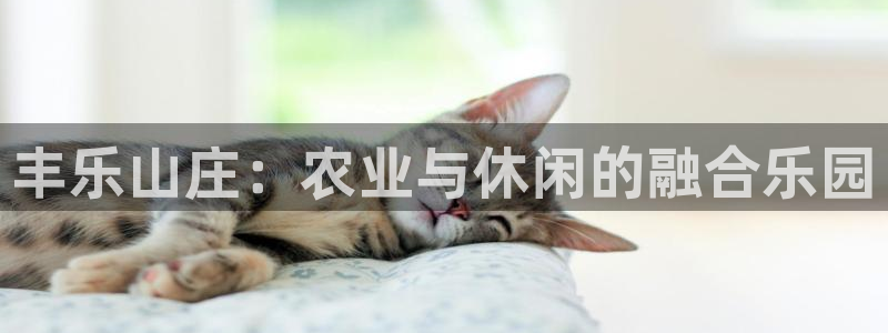必一运动·(B-Sports)