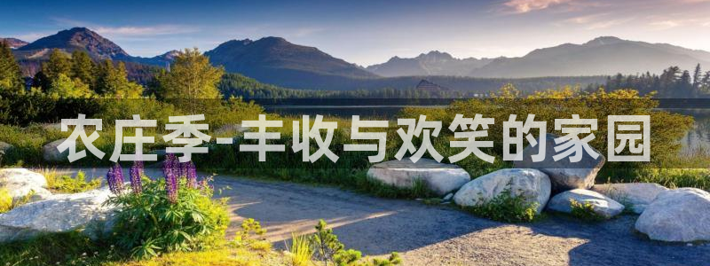必一体育官方下载入口