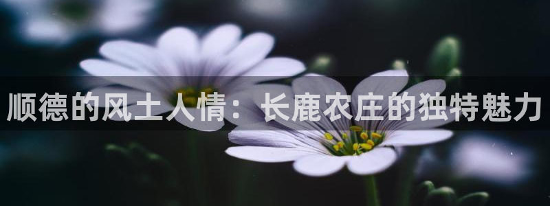 必一体育官网入口