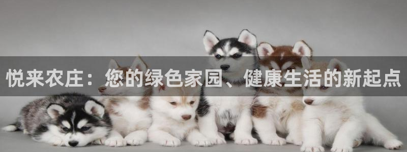 必一体育下载