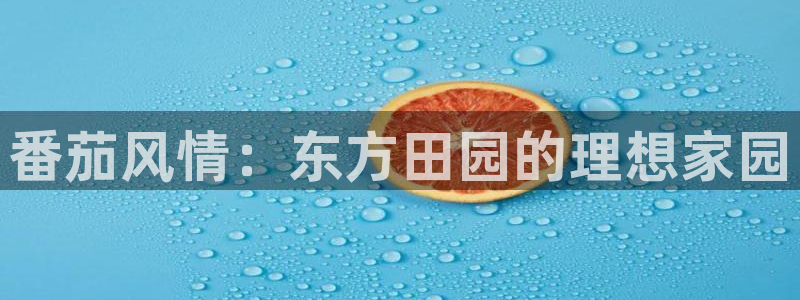 必一体育网页登陆