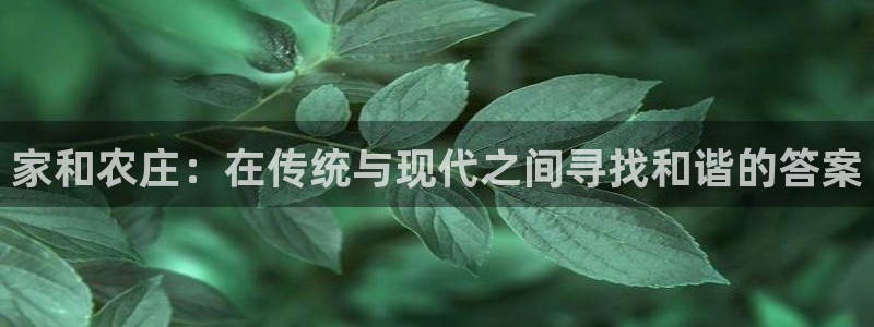 必一体育运动app下载