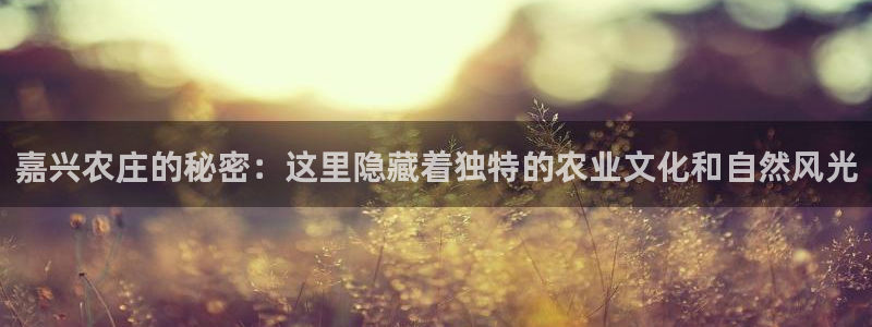 必一体育全站在线登录入口