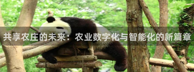 必一体育在线登陆