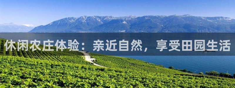 必一体育sport官网