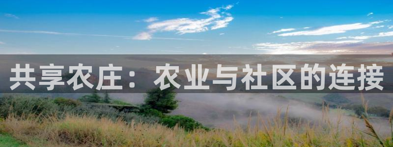 必一体育sport官方网站