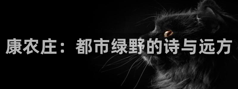 必一运动tieba.baidu.com