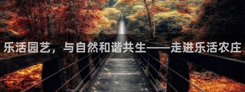 必一体育最新官网入口首页