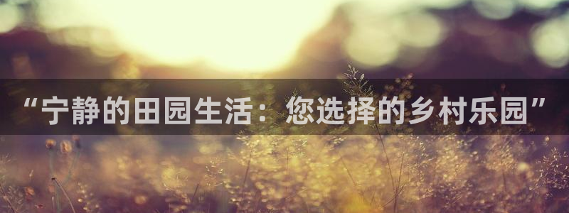 必一体育运动平台官网