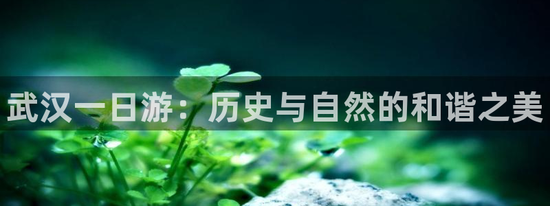 必一体育运动app