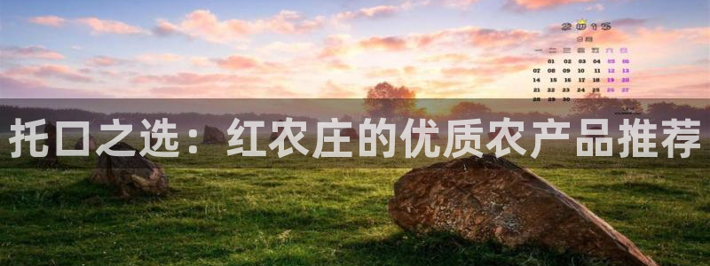 必一体育在哪下