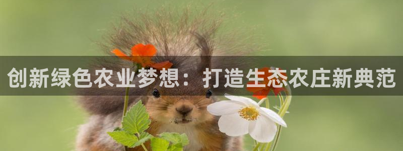 必一体育APP