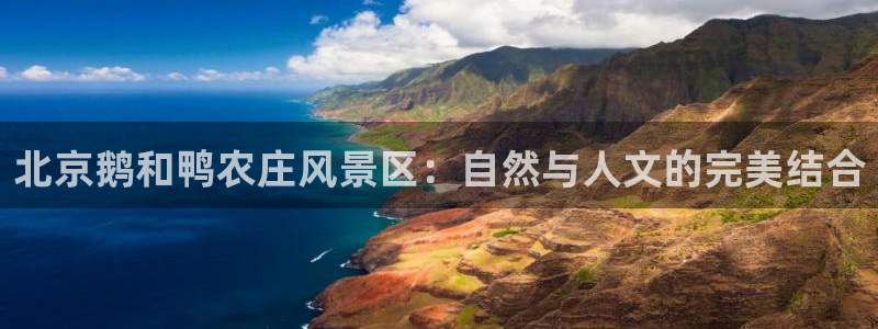 必一运动验证码