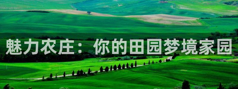 必一体育黑平台