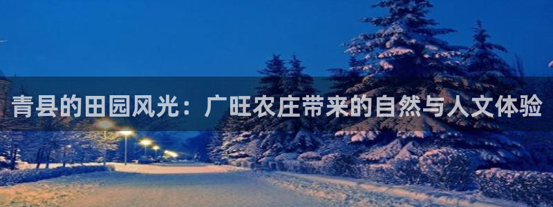 必一体育游戏玩法