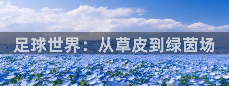 必一体育官网网站