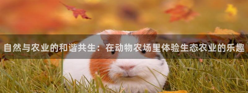 必一体育在线下载