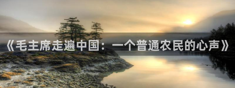 必一体育在哪下