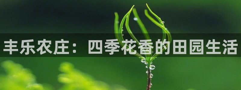 必一体育官方下载入口