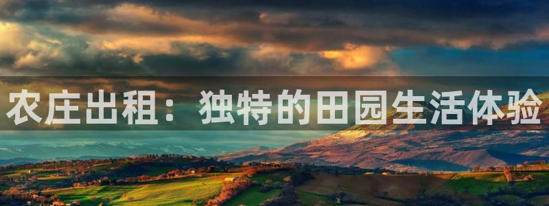 必一体育bsport下载