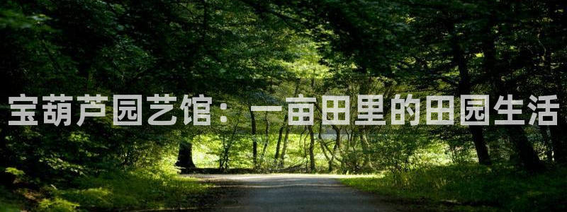 必一体育app平台下载