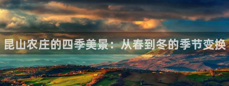 必一体育bsport下载