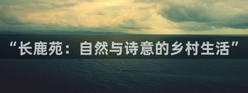 必一体育服下载最新版本更新内容