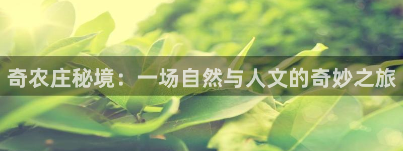 必一运动 b 体育素描版