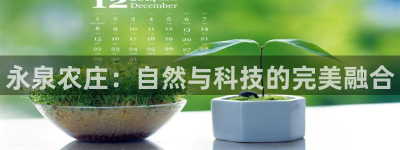 必一运动官网入口
