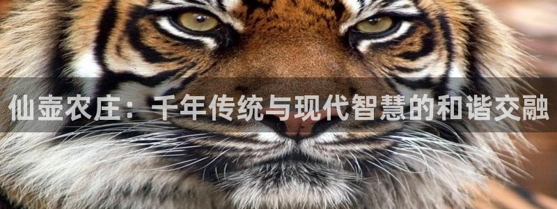 必一体育在线下载